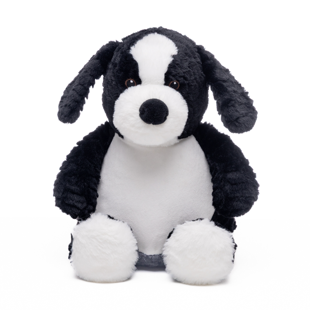 Border-Collie